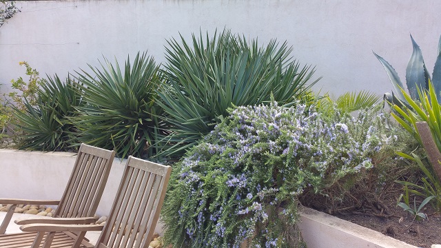 20150330_154155.jpg