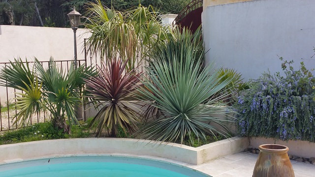 20150330_154312.jpg