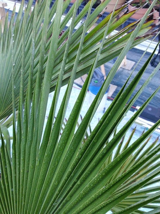 20151029_170205.1.jpg