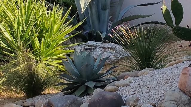 20150330_164655.jpg