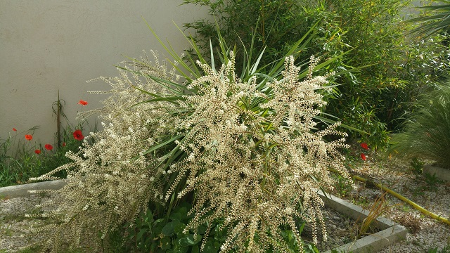 20150513_103634.jpg
