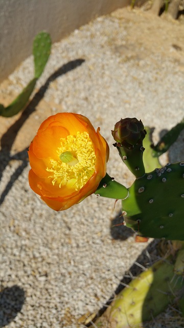 20150806_104057.jpg