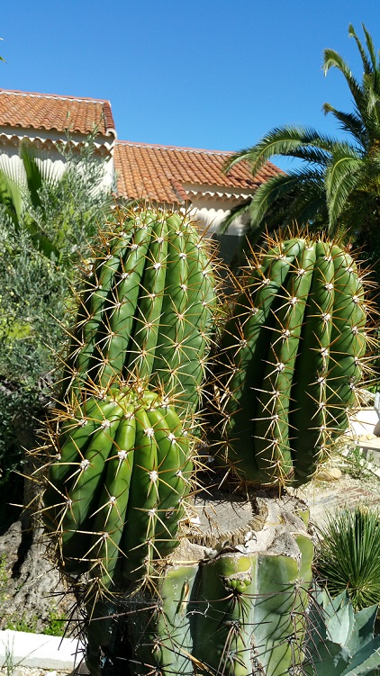 20150921_123825.jpg