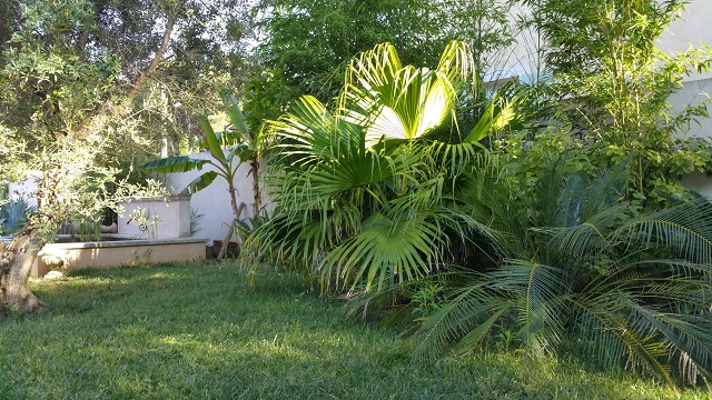 20150621_191104.jpg