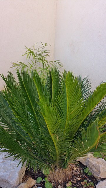 20151031_111221.jpg