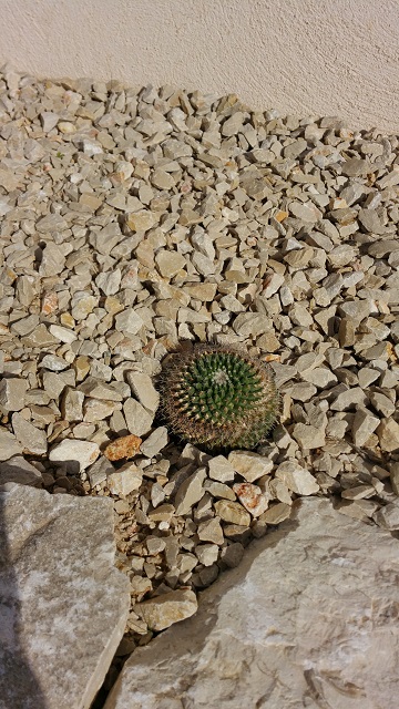 20151031_111307.jpg