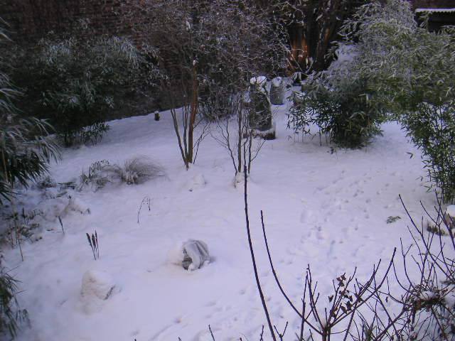 PICT0278.JPG