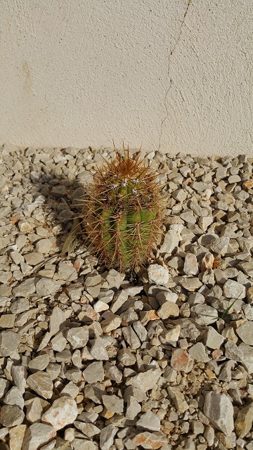20151031_111317.jpg