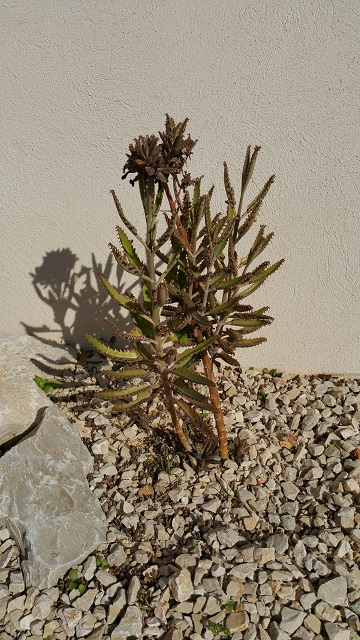 20151031_111342.jpg