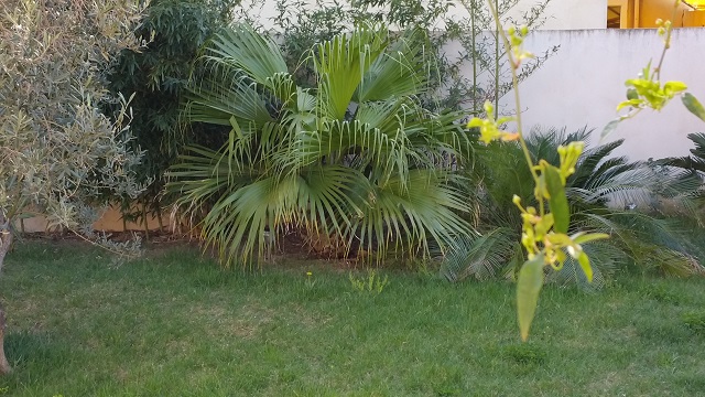 20150330_164603.jpg