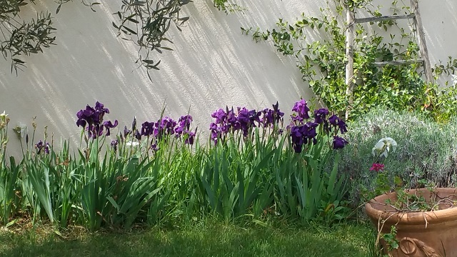 20150420_140612.jpg