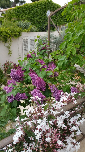 20150425_155909.jpg