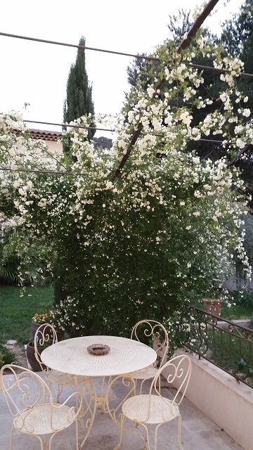 20150429_204431.jpg