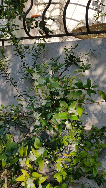 20150621_190822.jpg