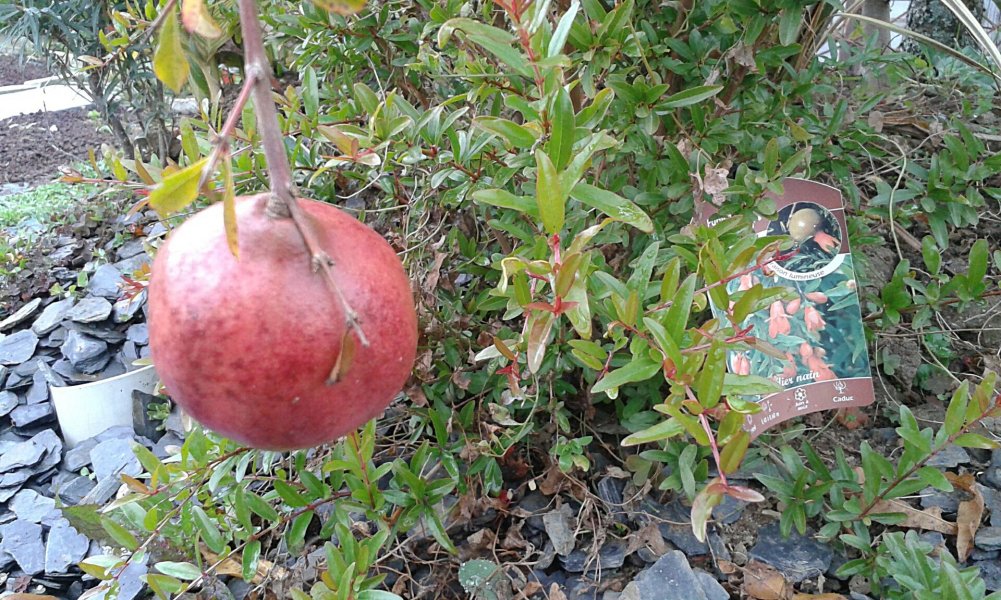 22 octobre 2015