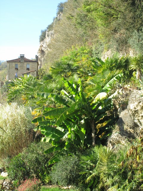 La Roque Gageac 005 (480x640).jpg