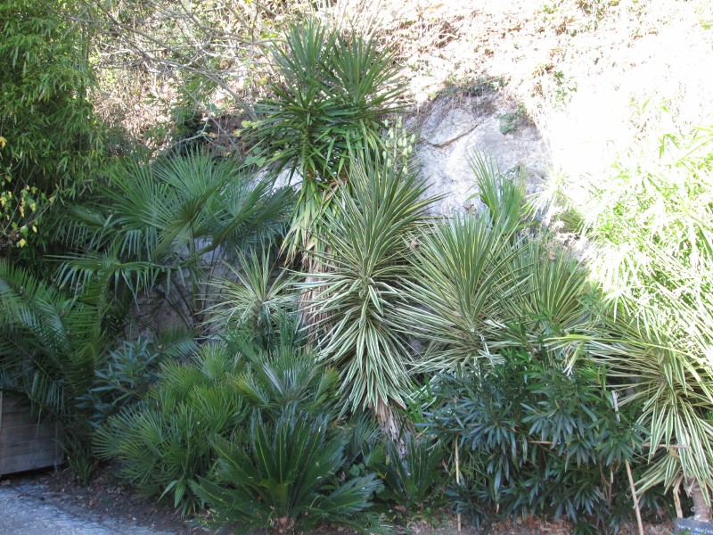 La Roque Gageac 012 (800x600).jpg