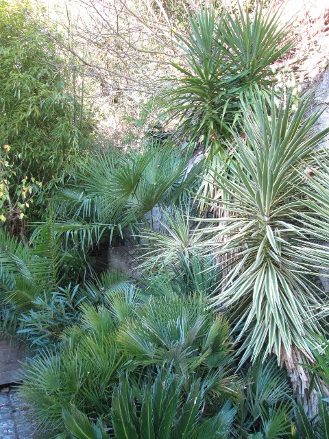 La Roque Gageac 016 (480x640).jpg