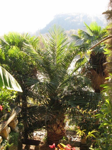 La Roque Gageac 020 (480x640).jpg