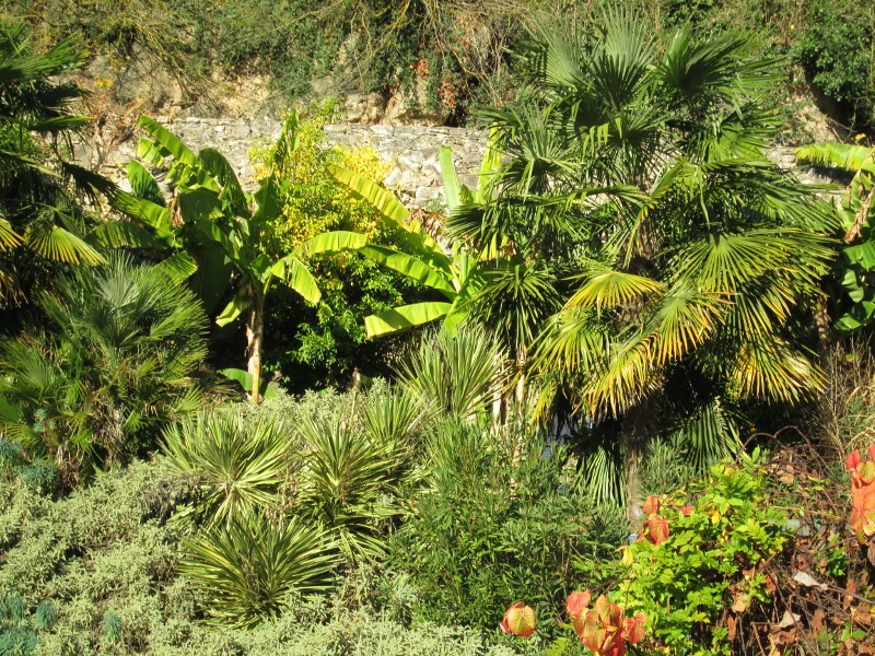 La Roque Gageac 034 (800x600).jpg