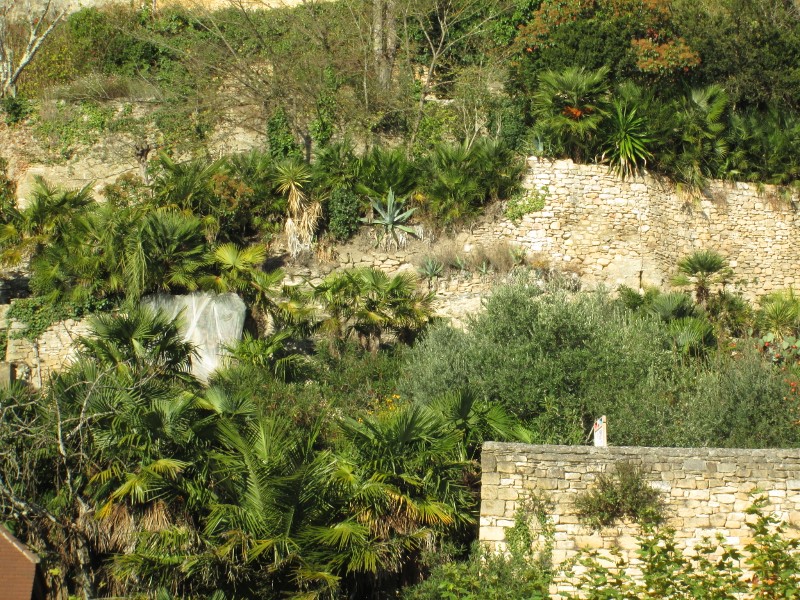 La Roque Gageac 036 (800x600).jpg