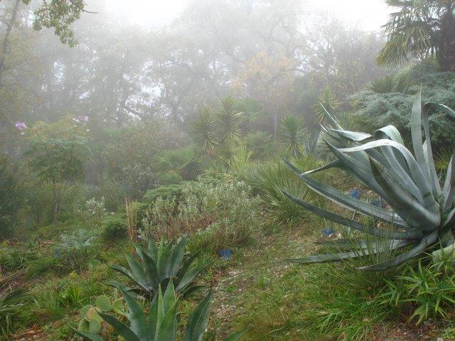 052.jpg