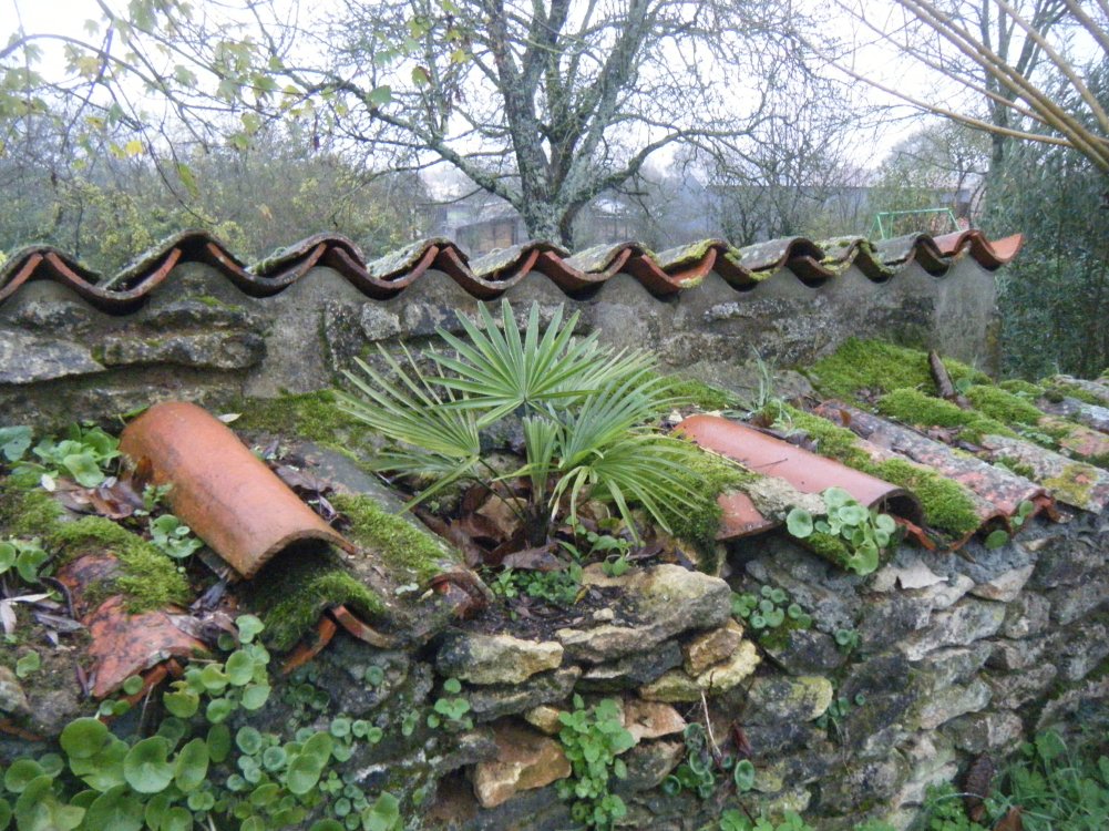DSCF3962.JPG