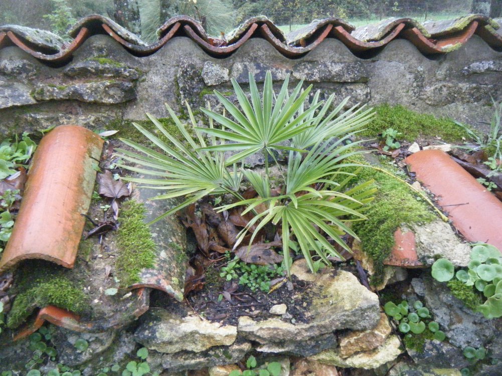 DSCF3960.JPG