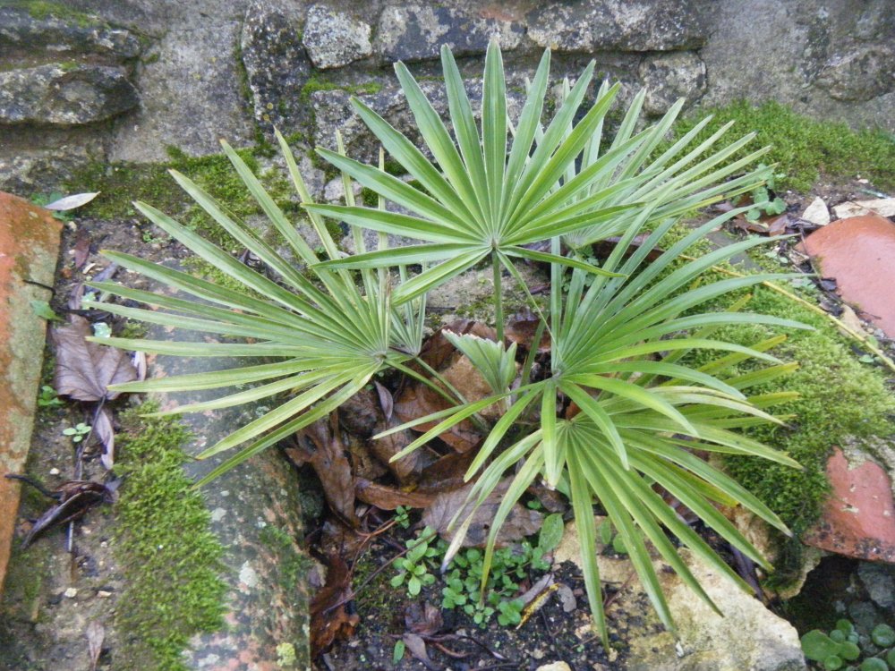 DSCF3961.JPG