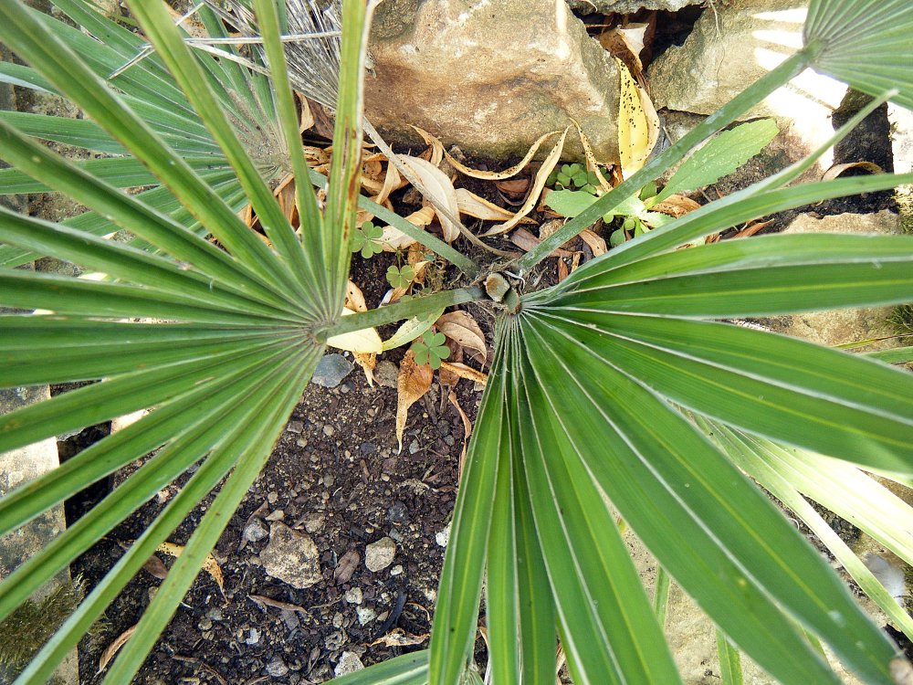 DSCF3152.JPG
