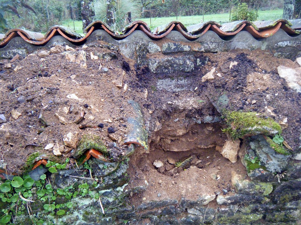 DSCF1075.JPG