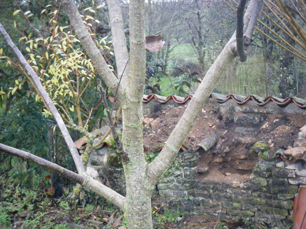 DSCF1076.JPG