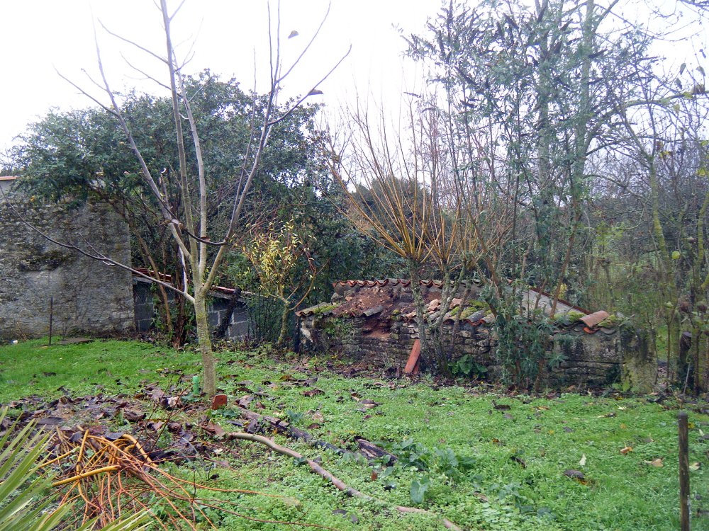 DSCF1073.JPG