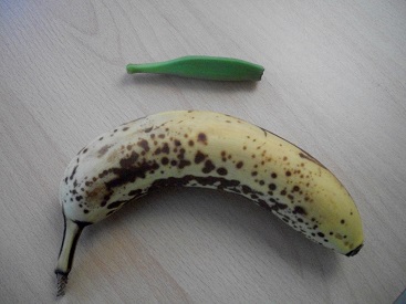 comparaison.JPG
