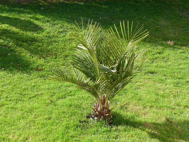 P1050884fh.jpg