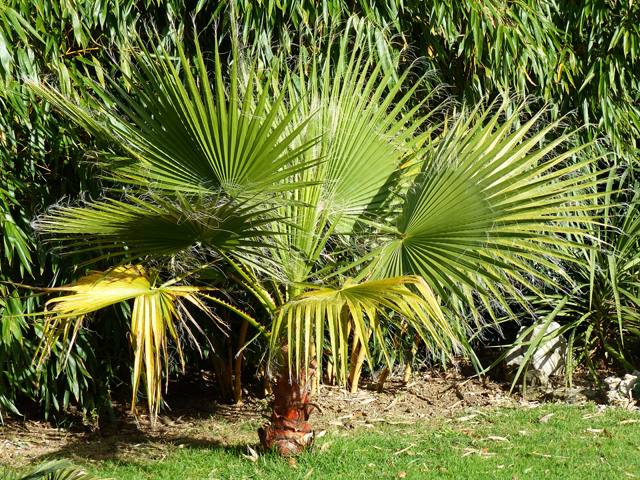 P1050887fh.jpg