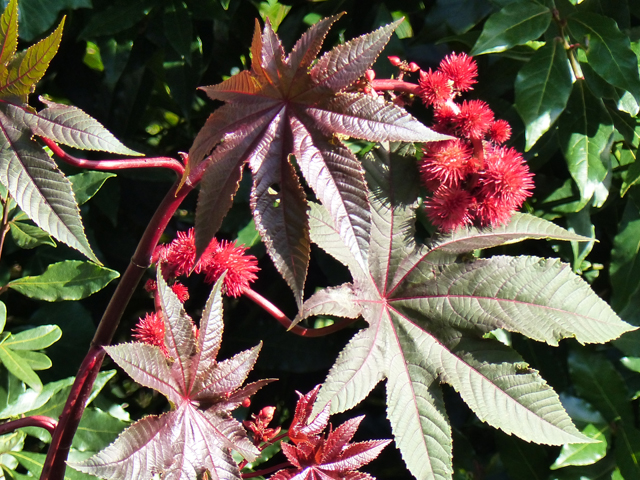 P1050896fh.jpg