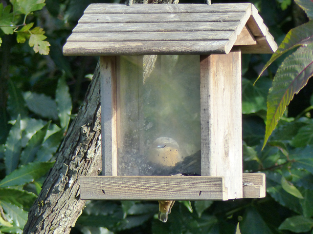 P1050907fh.jpg
