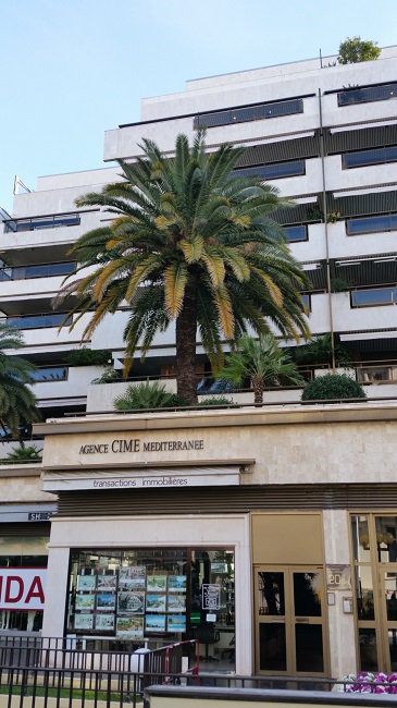 Cannes 2.jpg