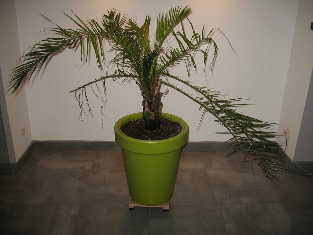 import du 271115 177.jpg