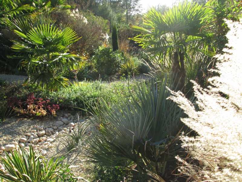 photos oct 2015 087 (800x600).jpg