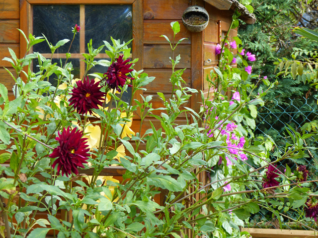 P1050767fh.jpg