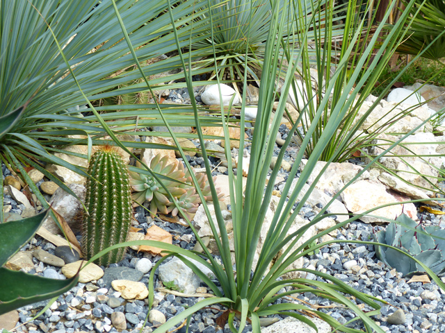 P1050771fh.jpg