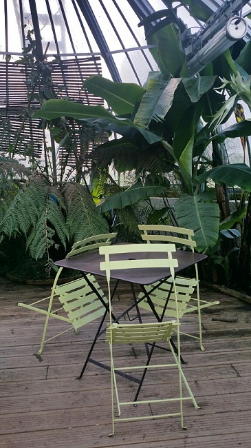 Serre Jardin des plantes 12 2015 12.jpg