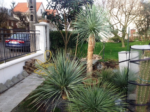 jardin 20153.jpg