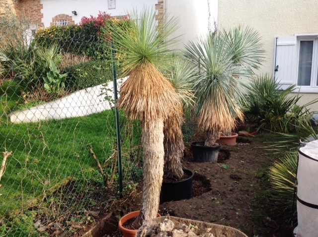 jardin20154.jpg