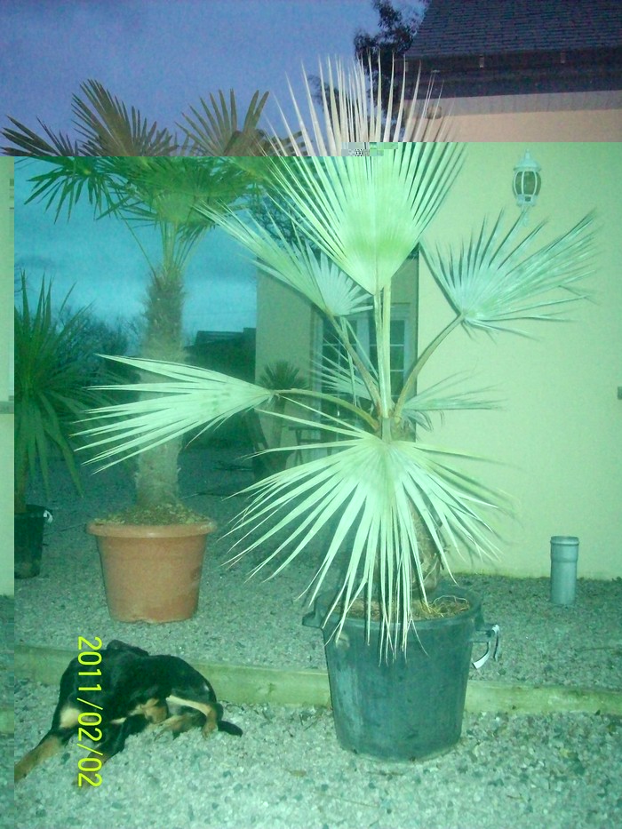 100_0301.JPG