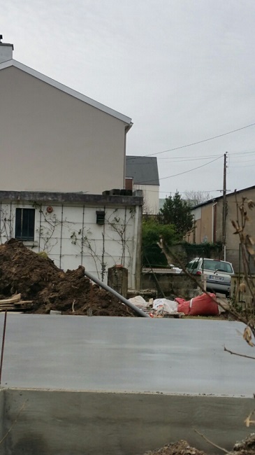 Trachy bouquet après janv 2016.jpg