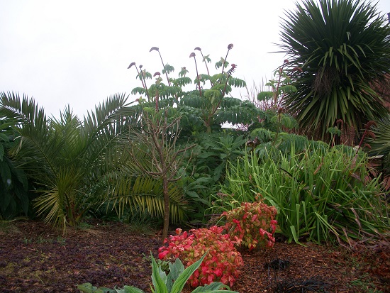 100_6110.JPG