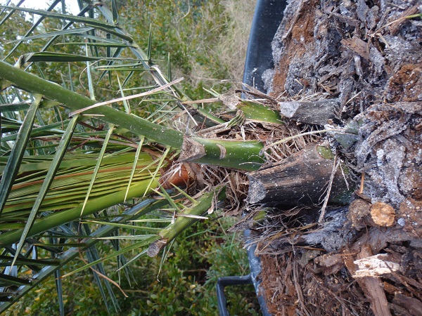 idem 3 précédentes